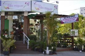Floricultura São Miguel  Biguaçu SC