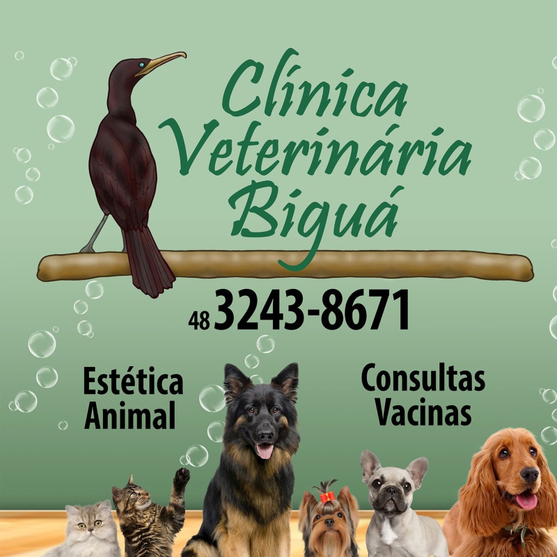 Clínica Veterinária Biguá  Biguaçu SC